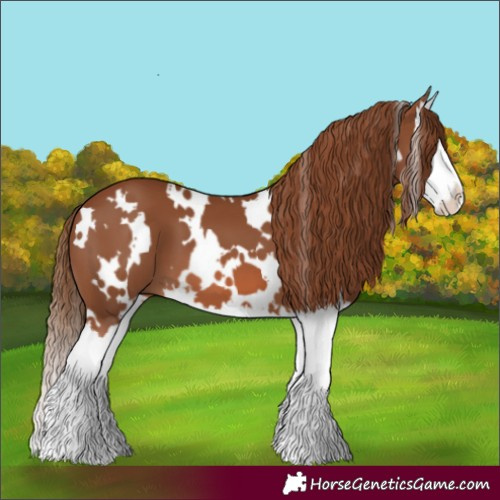 Horse Color:White Spotted Chestnut Splash 