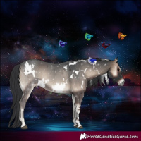Horse Color:White Spotted Blue Onyx 