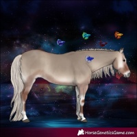 Horse Color:Silver Grullo Onyx Rabicano 