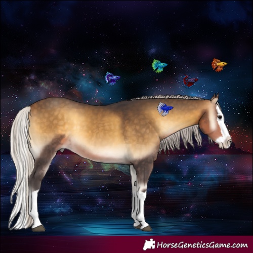 Horse Color:Silver Buckskin Onyx Splash 