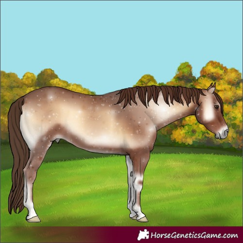 Horse Color:Red Onyx