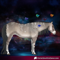 Horse Color:Powder White Grullo Onyx 