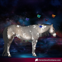 Horse Color:White Spotted Blue Onyx