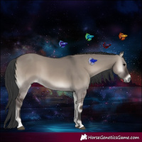 Horse Color:Grullo Onyx 