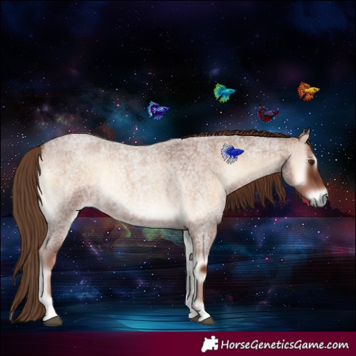 Horse Color:Red Onyx Roan Rabicano