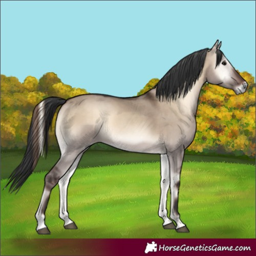 Horse Color:Brown Onyx 