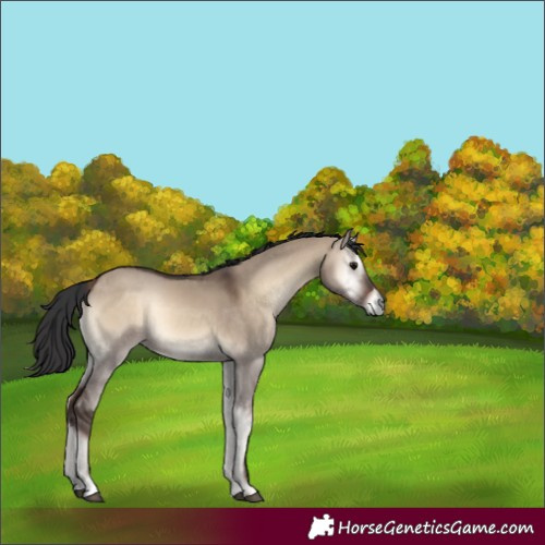 Horse Color:Brown Onyx 