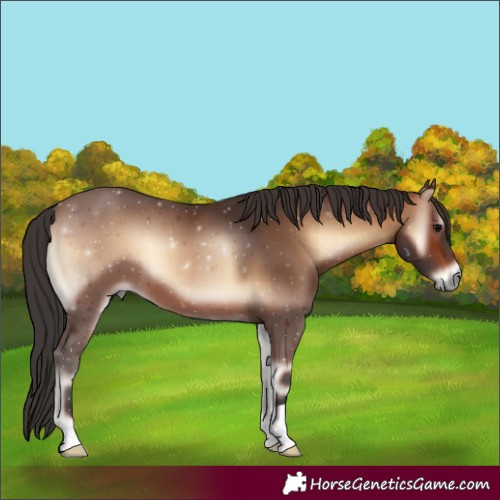 Horse Color:Brown Onyx 