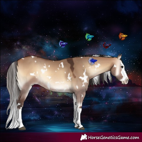 Horse Color:White Spotted Bay Onyx Splash Rabicano 