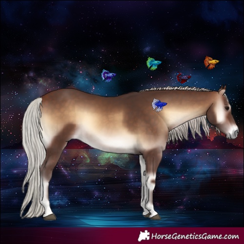 Horse Color:Silver Brown Onyx 