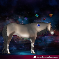 Horse Color:Blue Onyx