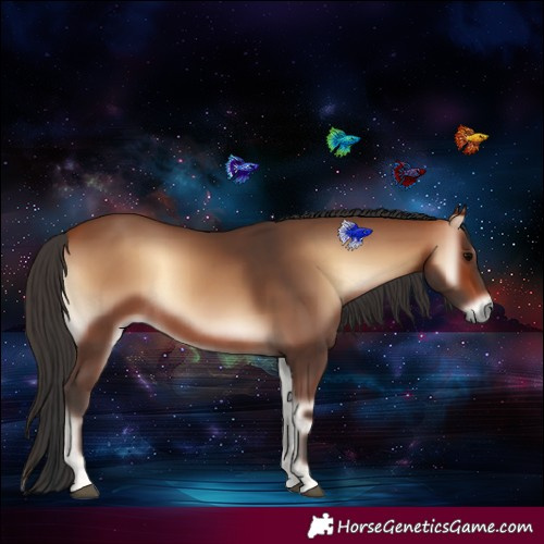 Horse Color:Bay Onyx Rabicano 