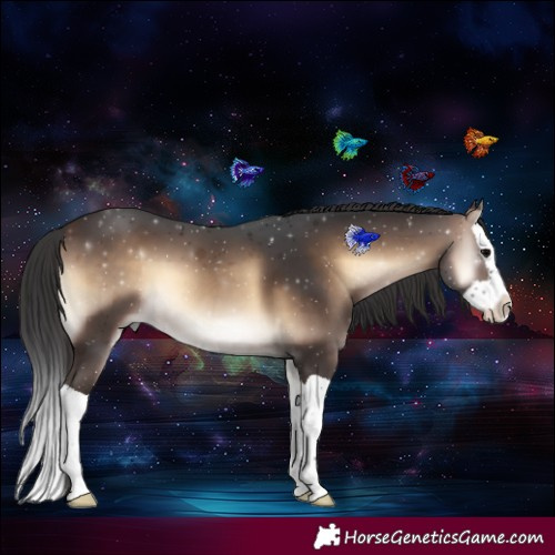 Horse Color:Brown Onyx Splash 