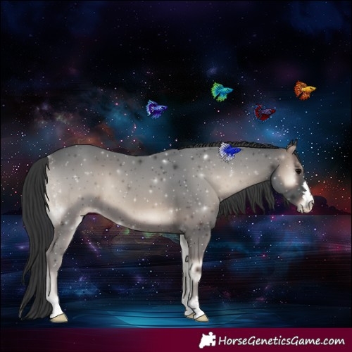 Horse Color:Blue Onyx 