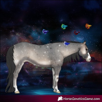 Horse Color:Blue Onyx
