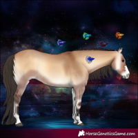 Horse Color:Bay Onyx Rabicano