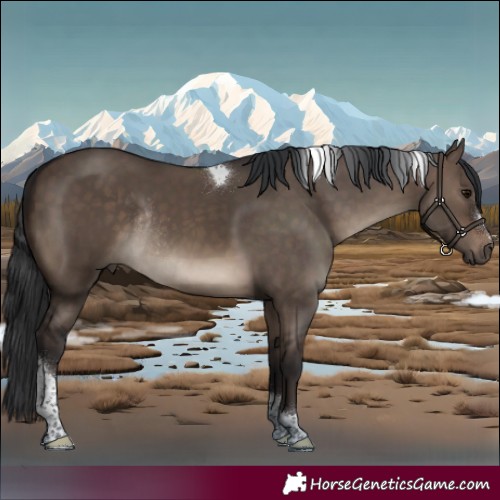Horse Color:Brown Dun Tobiano Rabicano 