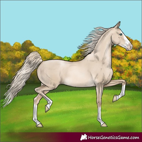 Horse Color:Chocolate Palomino Pearl Dun Sabino Splash Rabicano