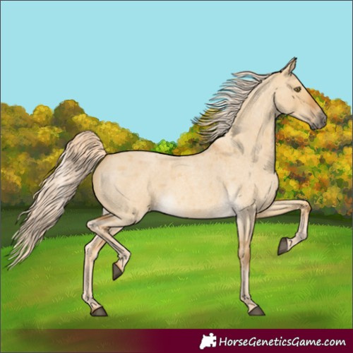 Horse Color:Palomino Roan Dun
