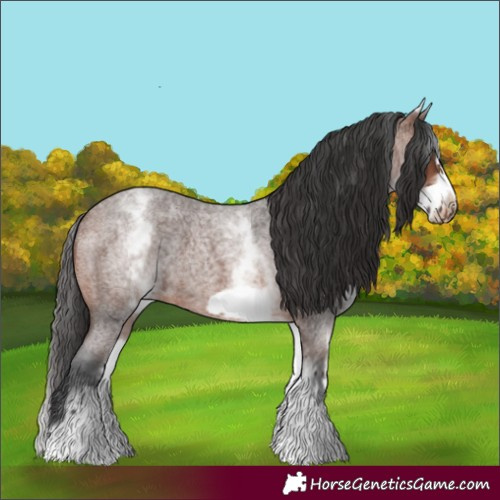Horse Color:White Spotted Brown Roan Frame 