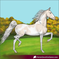 Horse Color:Cremello Tobiano Frame 