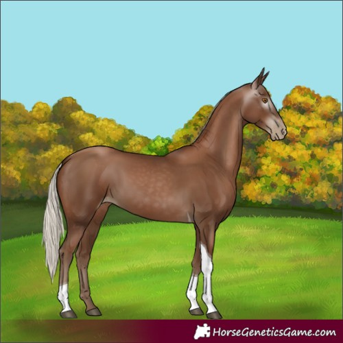 Horse Color:Gray Silver Black Pearl Tobiano 