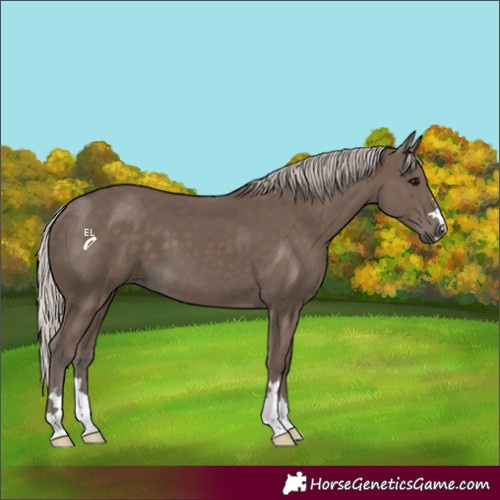 Horse Color:Silver Black 