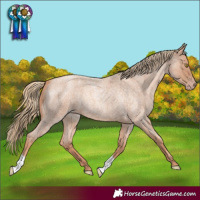 Horse Color:Gold Champagne Roan