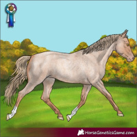 Horse Color:Gold Champagne Roan