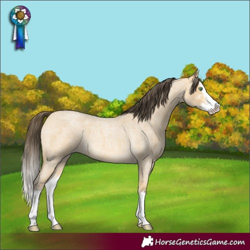 Horse Color:Amber Cream Champagne Roan Sabino Splash 