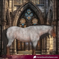 Horse Color:Liver Red Roan 