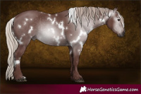 Horse Color:Gray White Spotted Chocolate Silver Black Rabicano