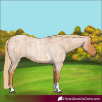 Horse Color:Red Roan Tobiano 