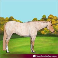 Horse Color:Red Roan Tobiano 