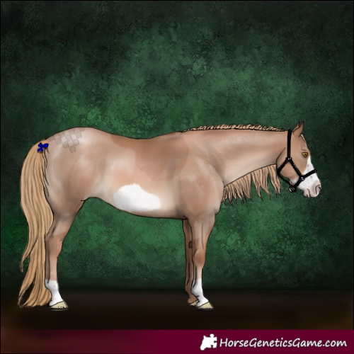 Horse Color:Liver Chestnut Pearl Frame