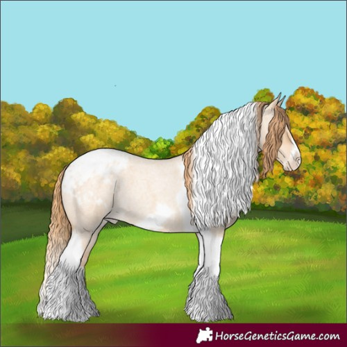 Horse Color:Gold Champagne Roan Dun Splash Tobiano Frame Appaloosa Rabicano