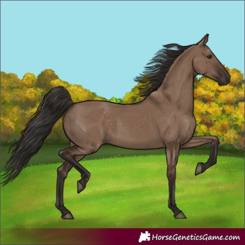 Horse Color:Liver Red Dun 