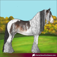 Horse Color:White Spotted Brown Tobiano Rabicano