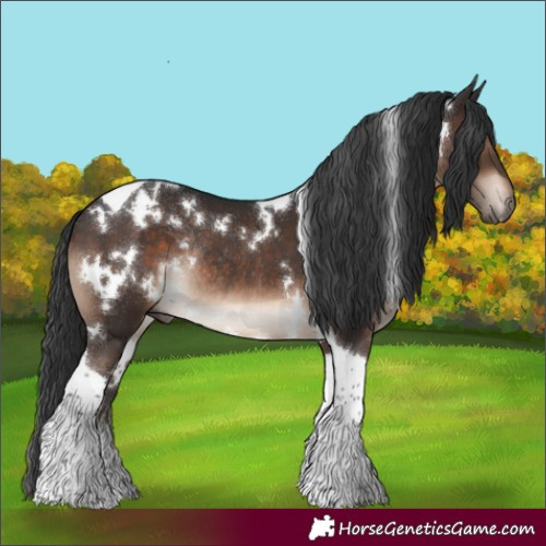 Horse Color:White Spotted Brown Tobiano Rabicano 