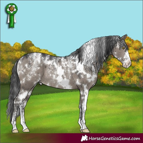 Horse Color:Powder White White Spotted Grullo Rabicano Brindle 