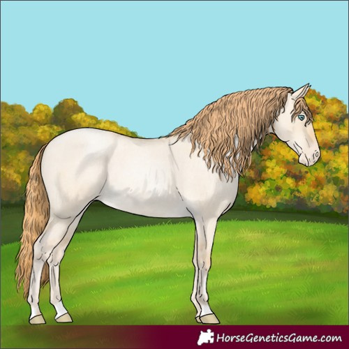 Horse Color:Smoky Grullo Roan Pearl Skewed Appaloosa Rabicano 