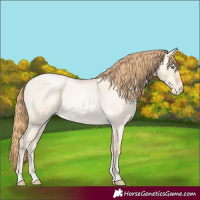 Horse Color:Smoky Grullo Roan Pearl Skewed LP Spotted Rabicano 