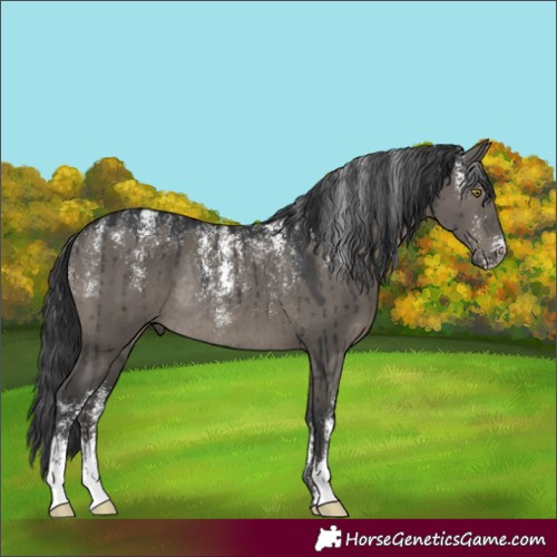 Horse Color:Powder White Grullo Rabicano Brindle 
