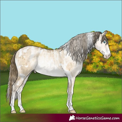 Horse Color:Powder White White Spotted Buckskin Pearl Dun Rabicano Brindle 