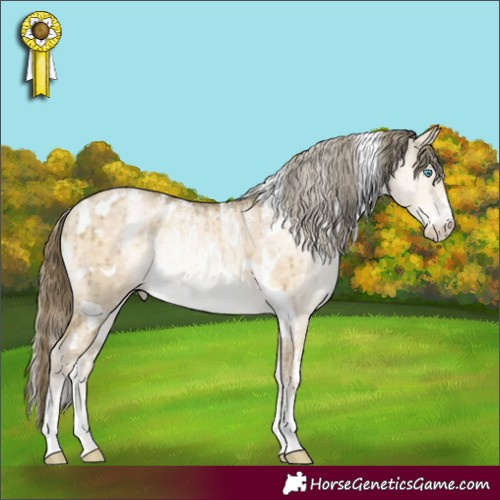 Horse Color:Powder White White Spotted Buckskin Pearl Dun Rabicano Brindle 