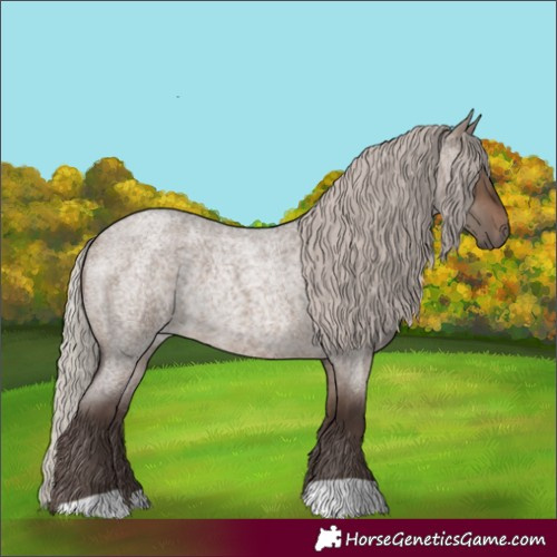 Horse Color:Silver Brown Roan Dun Rabicano Brindle 
