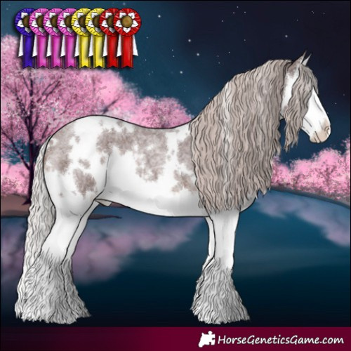Horse Color:White Spotted Chocolate Silver Brown Roan Splash 