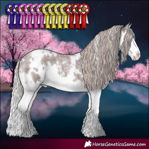 Horse Color:White Spotted Chocolate Silver Brown Roan Splash