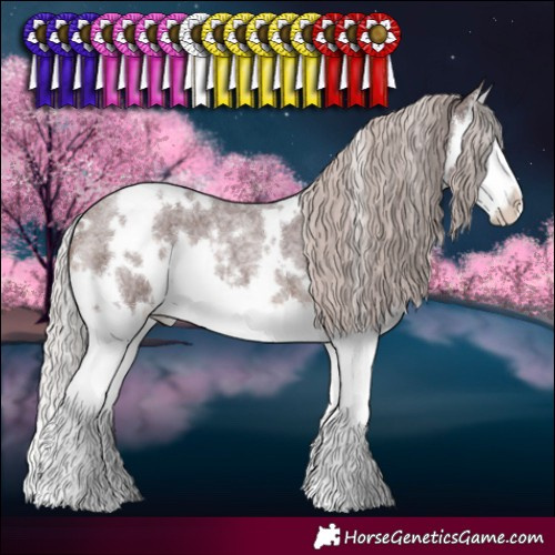 Horse Color:White Spotted Chocolate Silver Brown Roan Splash