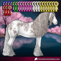 Horse Color:White Spotted Chocolate Silver Brown Roan Splash 